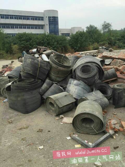 213923adydyuafy37s433s.jpg
