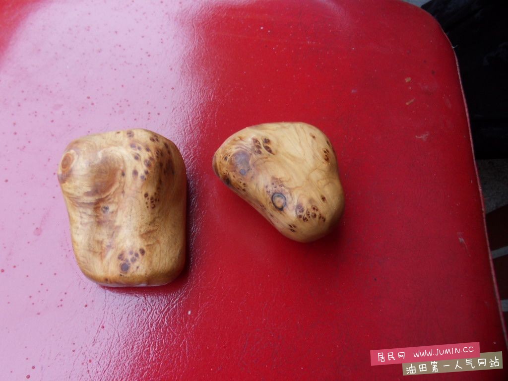 SDC15649.JPG