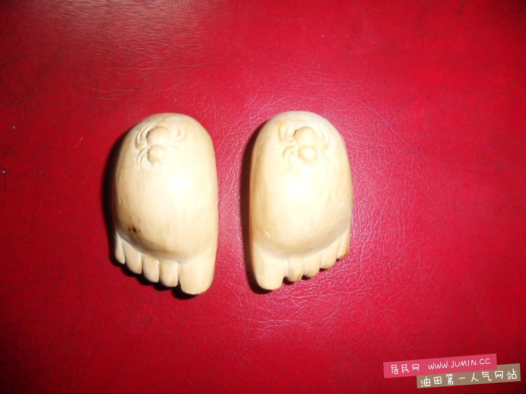 SDC15653.JPG