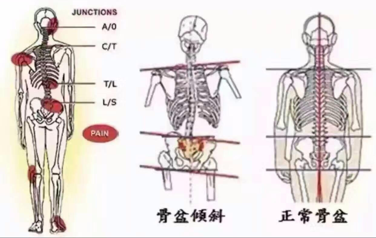 528d9e112a7cb394a9c4d306fc11a7a7.jpg