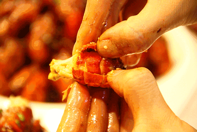 IMG4439c452e8ec4250543054.gif