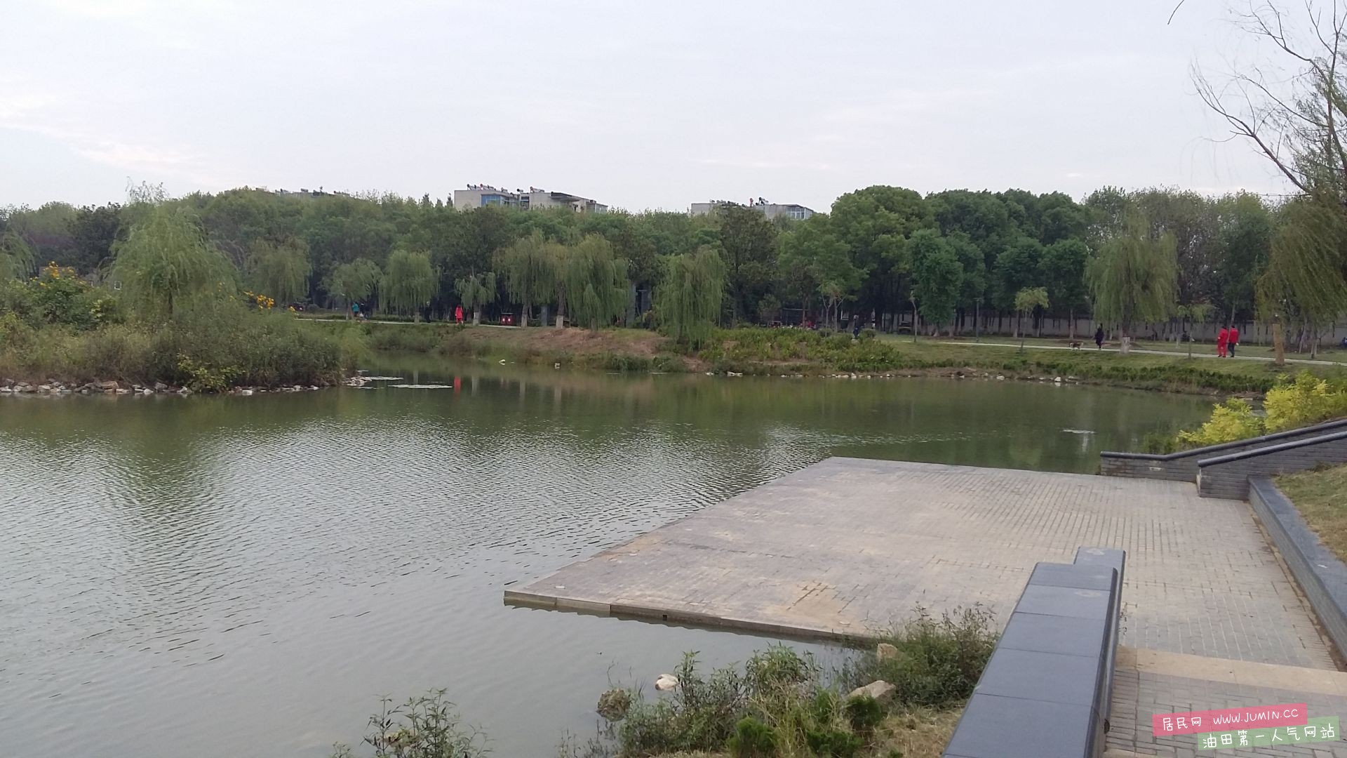 20160929_081840.jpg