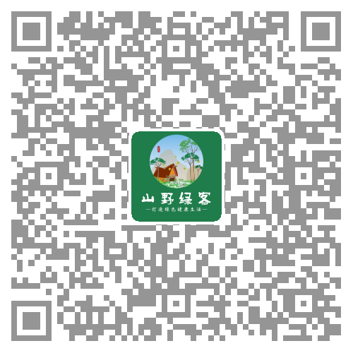 1482466809.png