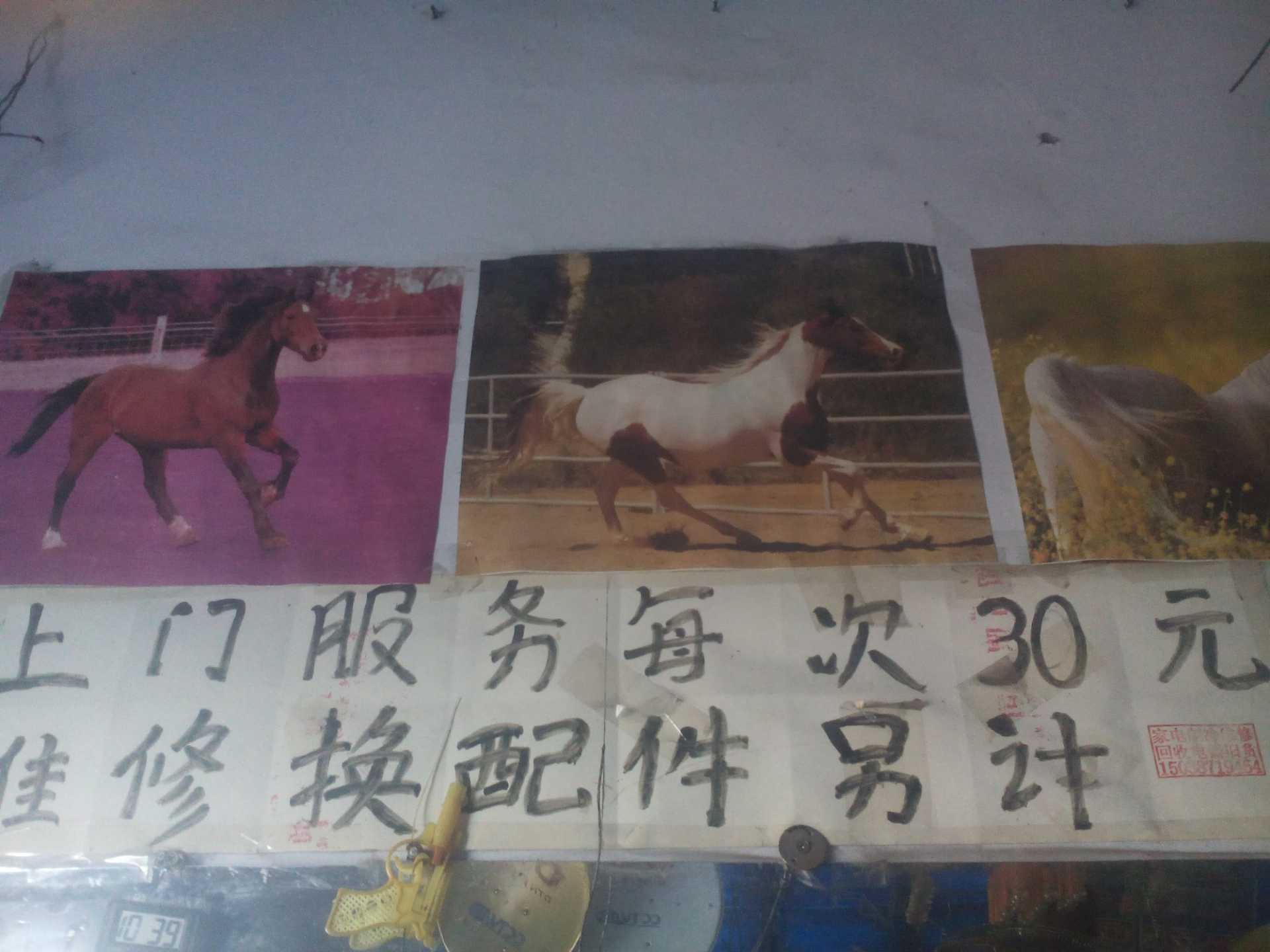 microMsg.1483152289178.jpg