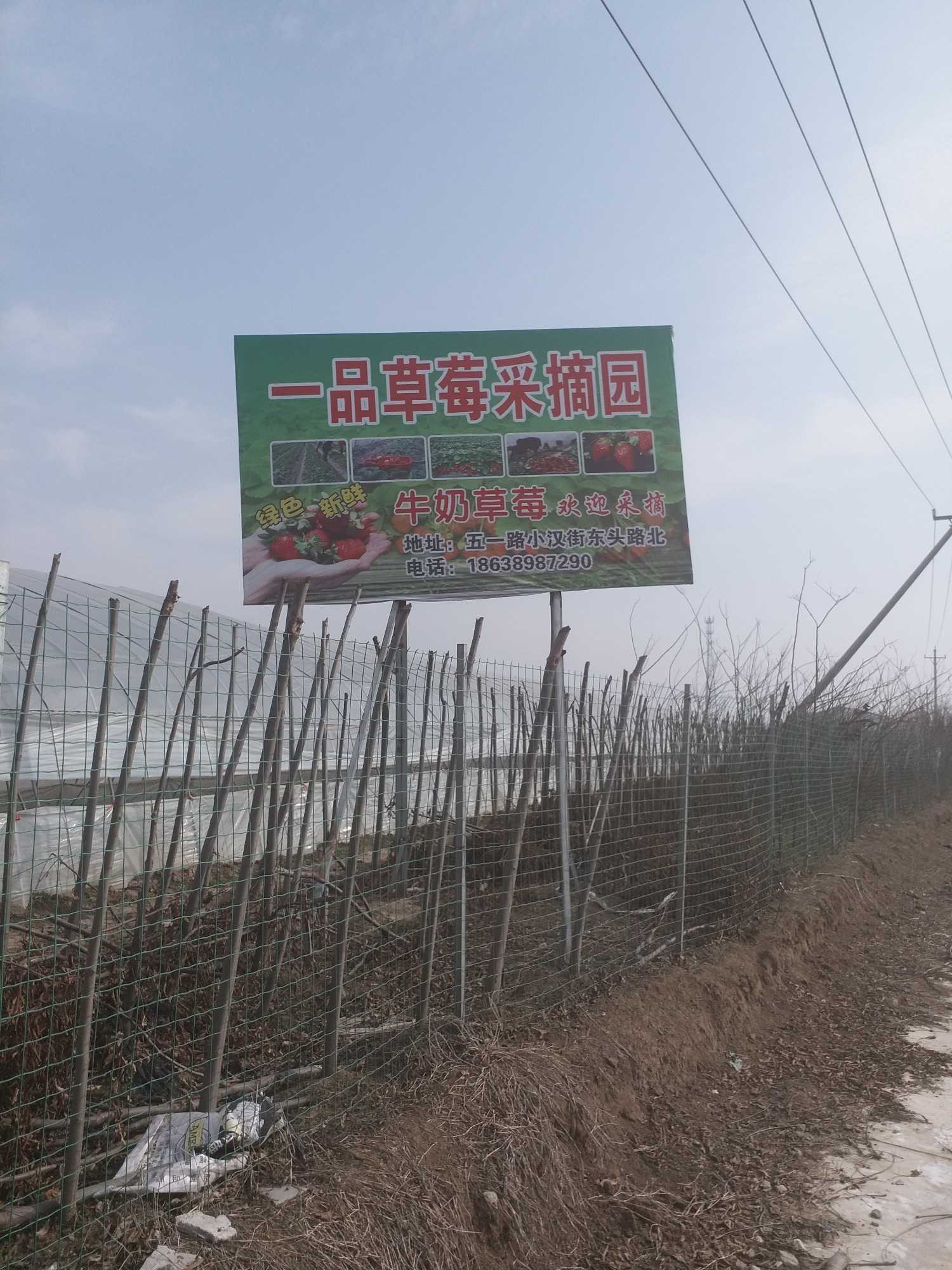 20170115_120426.jpg
