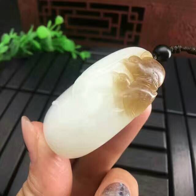 QQ图片20170309091901.jpg