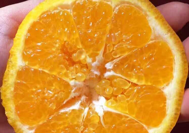 image.jpeg