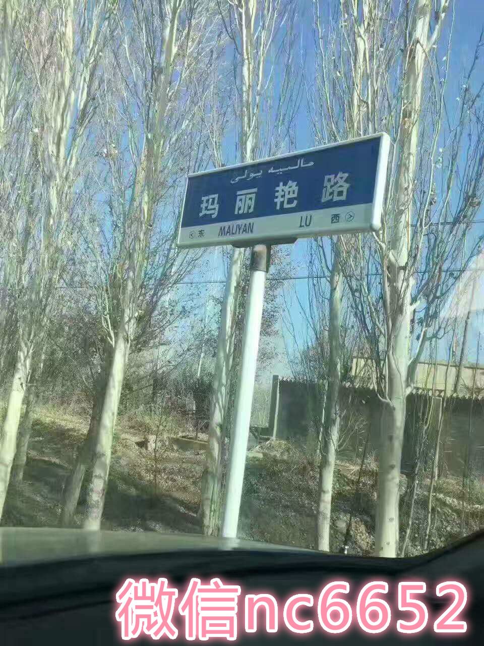 01.jpg
