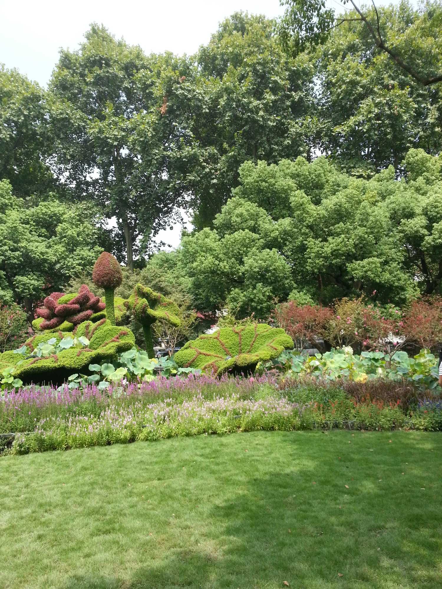 20160912_112427.jpg