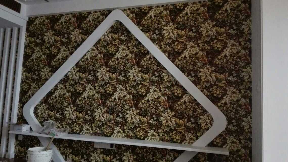 1495180041158.jpeg