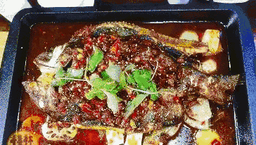 b238e77a6f754ea926d313825b15a385.gif