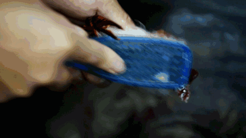 615ba4d8950bd661524408f66a67fda0.gif