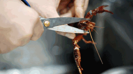 439b94a8e575e4cc4292dbcd6b16359e.gif