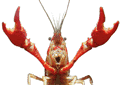 a3711a2354cdb13895be185473b5f366.gif