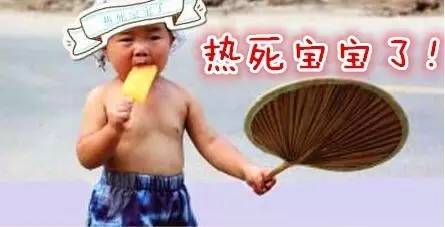 45ff61721552aae6e7fac4c18cf25710.jpg