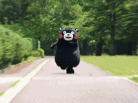 e42adefa863dd2c48d8fa76a92f6cb53.gif