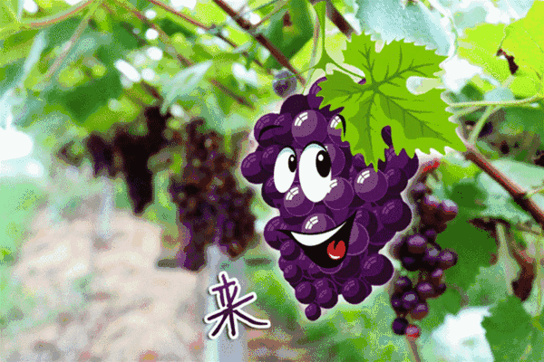 903e17d4bc559f7254f56b88df375102.gif