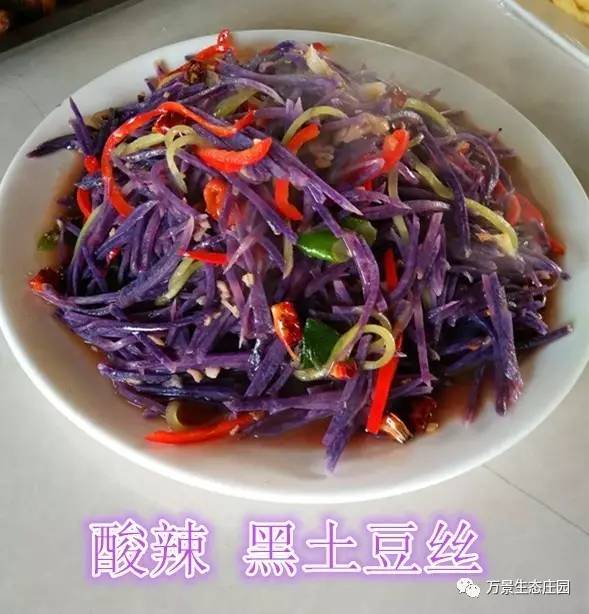 d03794efeae05cbc74cd9279b6d6bea5.jpg