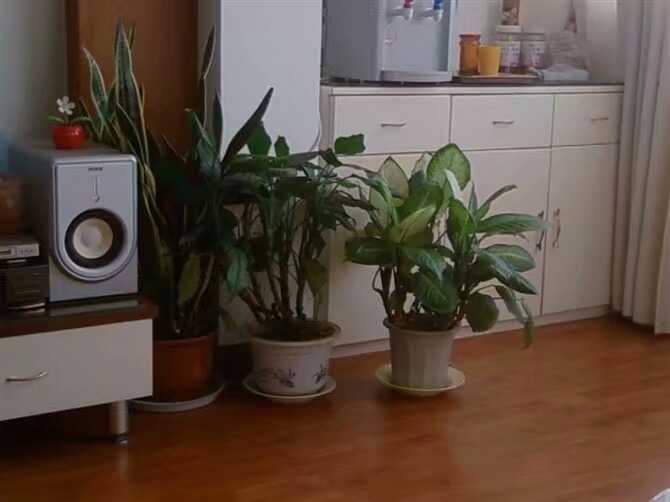 1500116683431.jpeg
