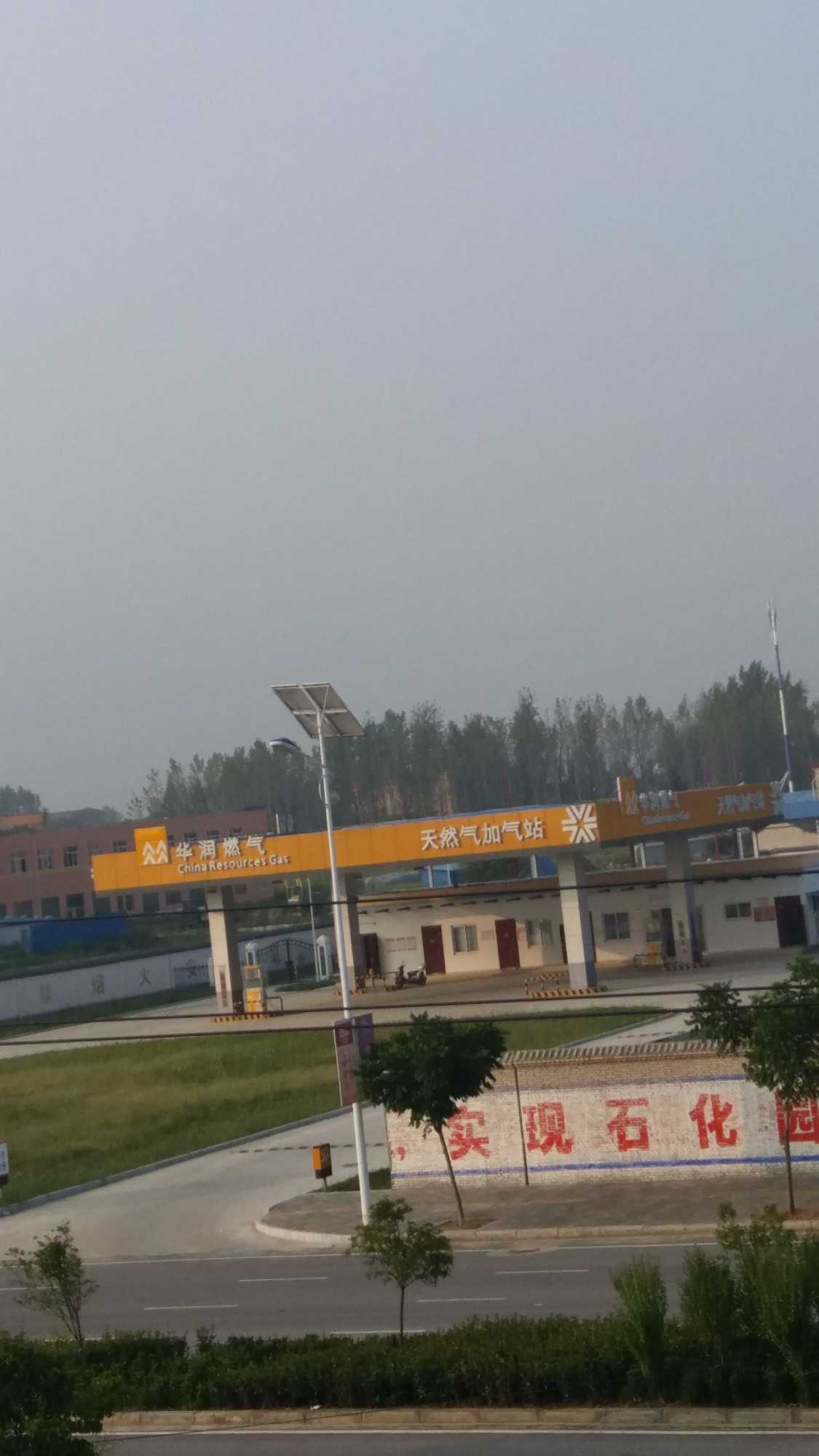 20170815_071951.jpg