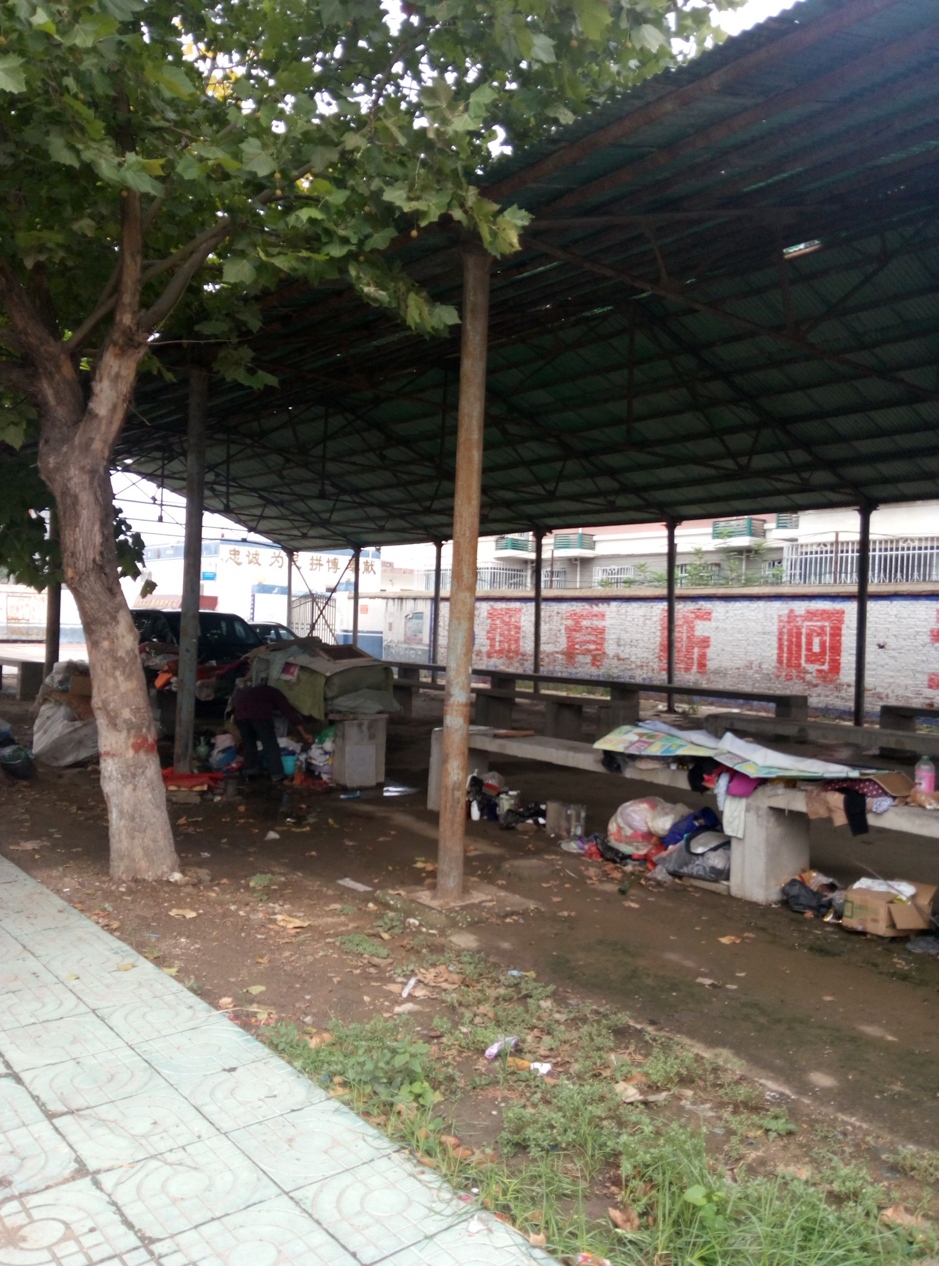 菜棚子变成了拉圾场