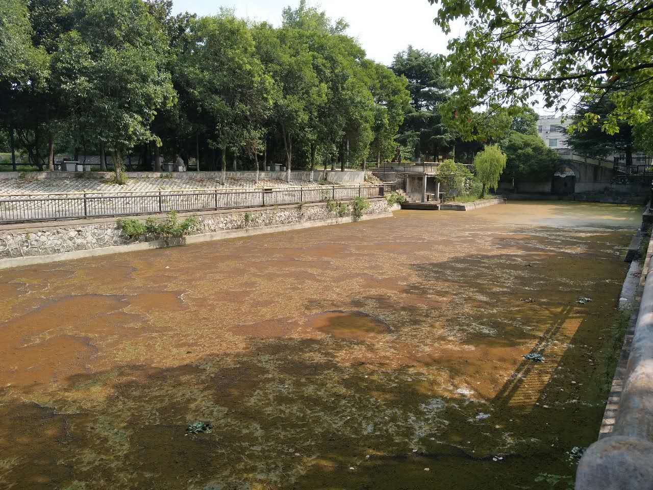 微信图片_20170821151519.jpg