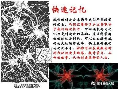0dff378abd1ddd56f29d0035c15c92c5.jpg