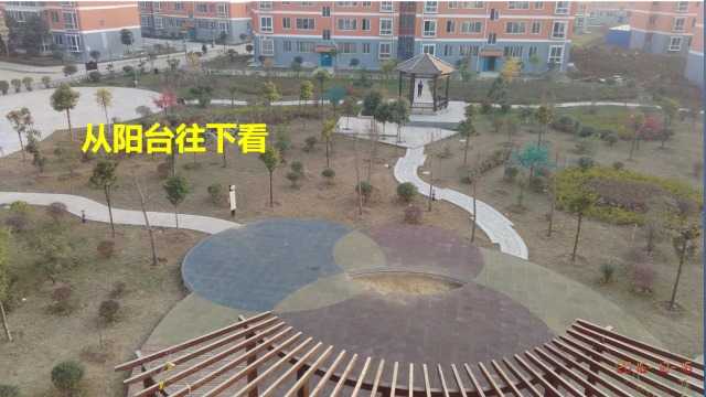mmexport1505375495044.jpeg