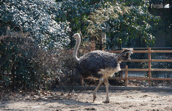 c383314a7e8084f7df2bb38ef8fd3483.gif