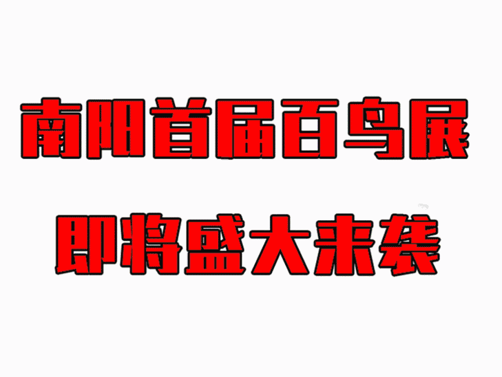 3d36a507e81810ec4c9d48dd6ca549a1.gif