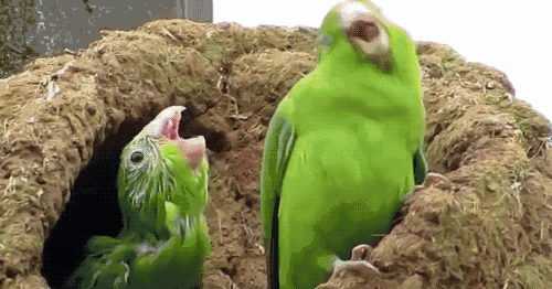 615a7793359bbd738c8ad43f7655f23f.gif