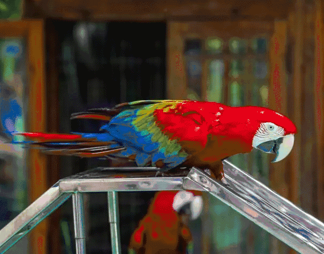 16c6f10668f7098a5629c0f8dfa9c819.gif