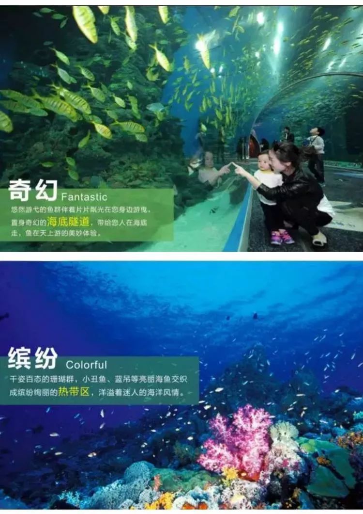 2fa39efde06c0a9dc5f5e20db55ad66b.jpg