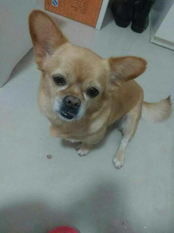 微信图片_20171210144132.jpg