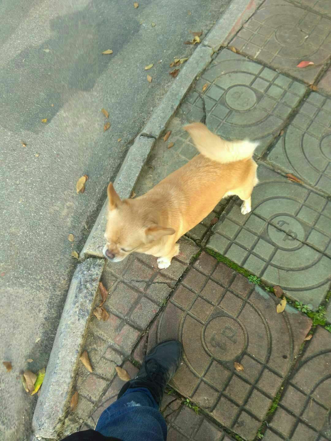 微信图片_20171210144148.jpg