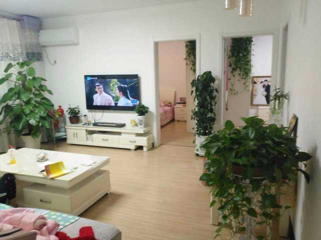 mmexport1513174195091.jpg