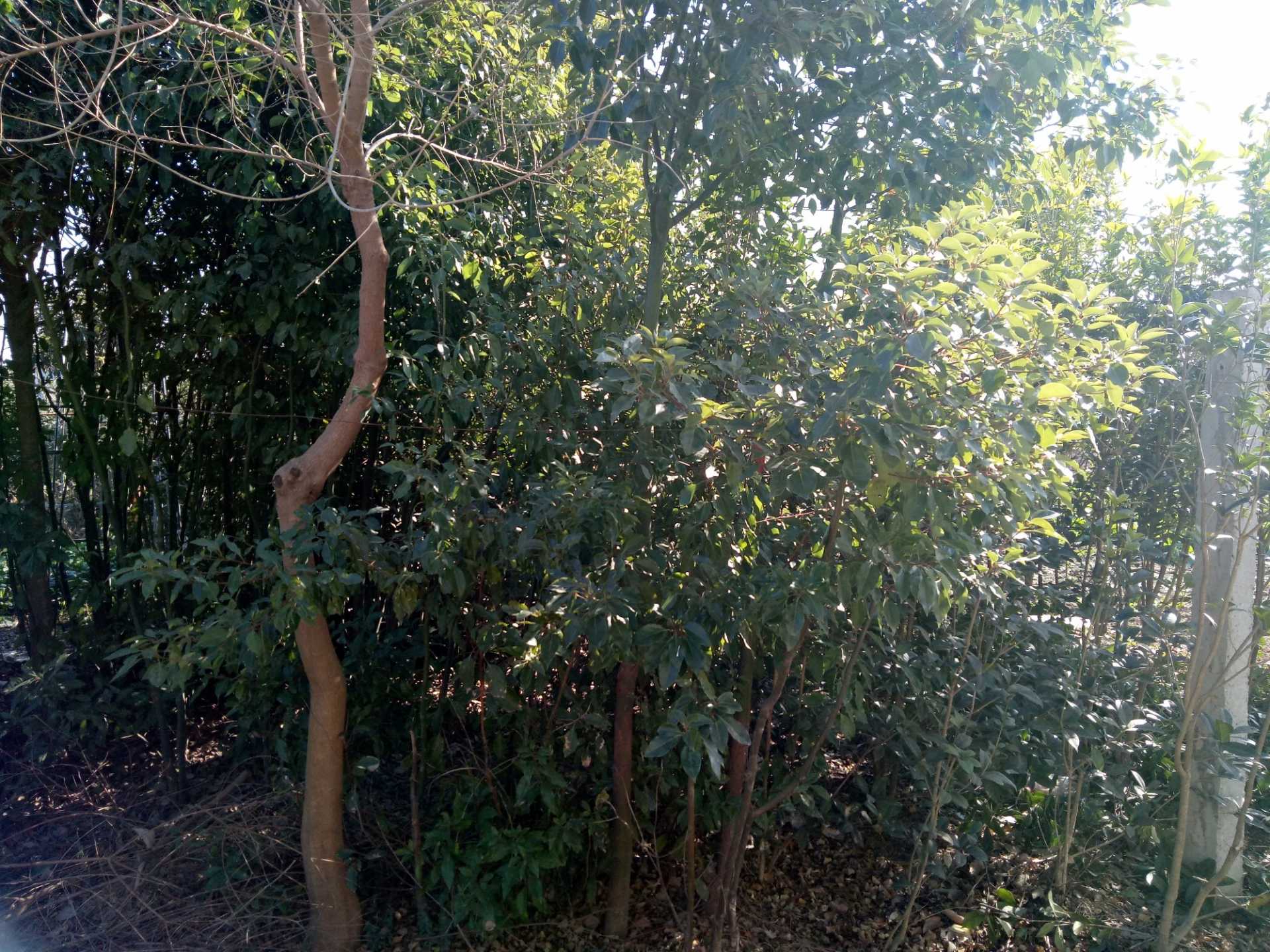 P71218-132807.jpg