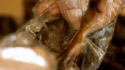 2297567e9038a74342789cd18fcddd85.gif