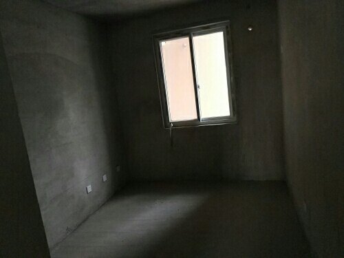 125505flrxn2lb8wvagnxl.jpg