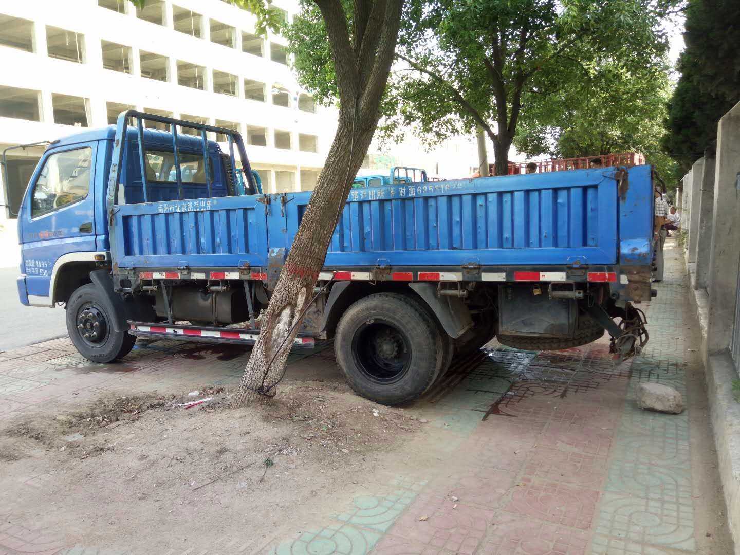 mmexport1515908795022.jpg
