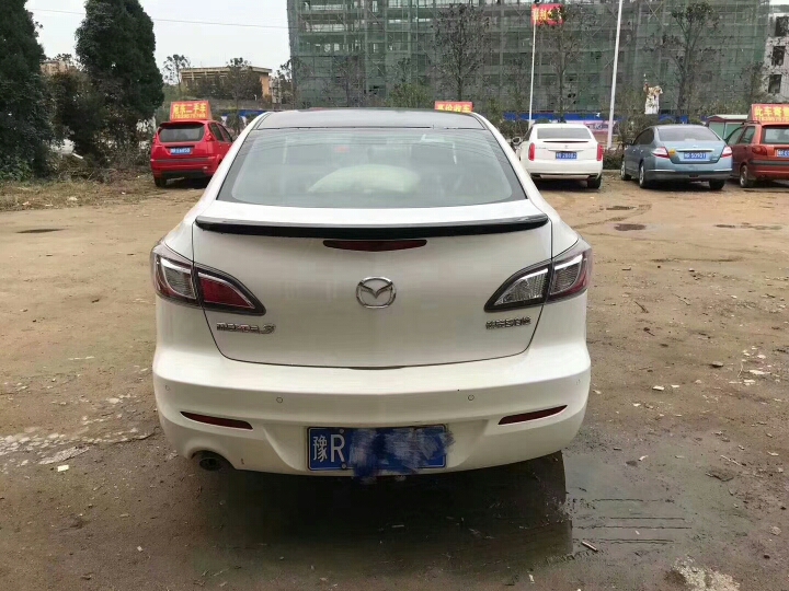 120254gglodggg3nqspdpg.jpg