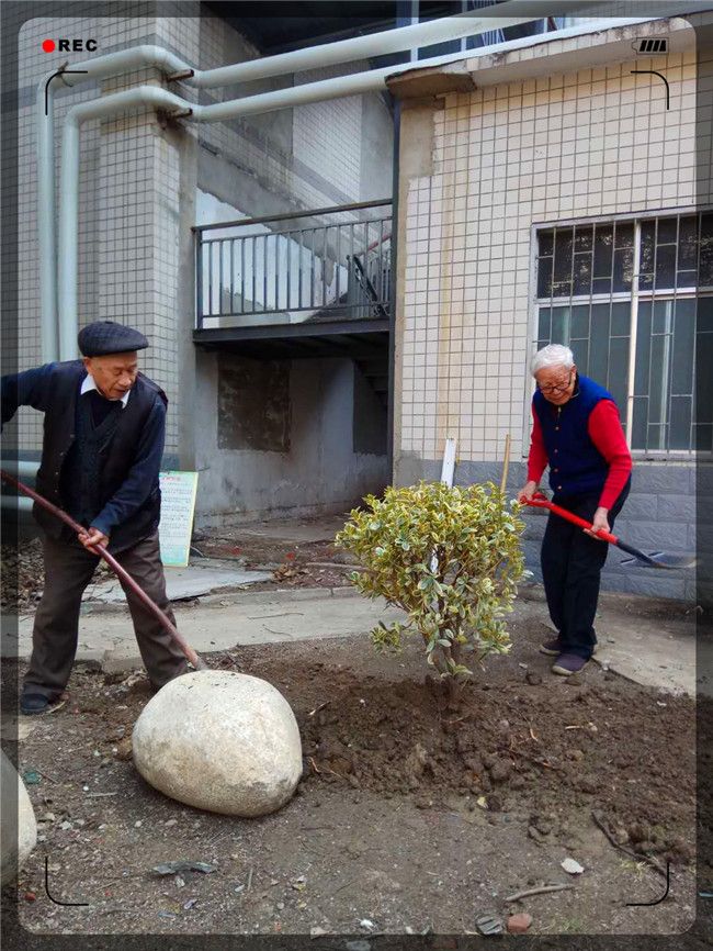 微信图片_20180312165820.jpg