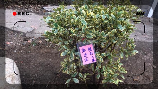 微信图片_20180312170036.jpg