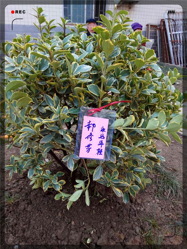 微信图片_20180312165726.jpg