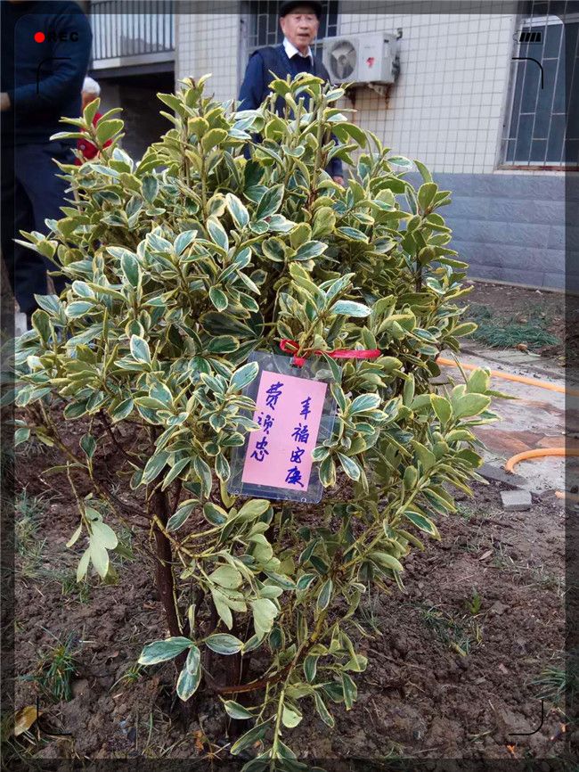 微信图片_20180312165759.jpg