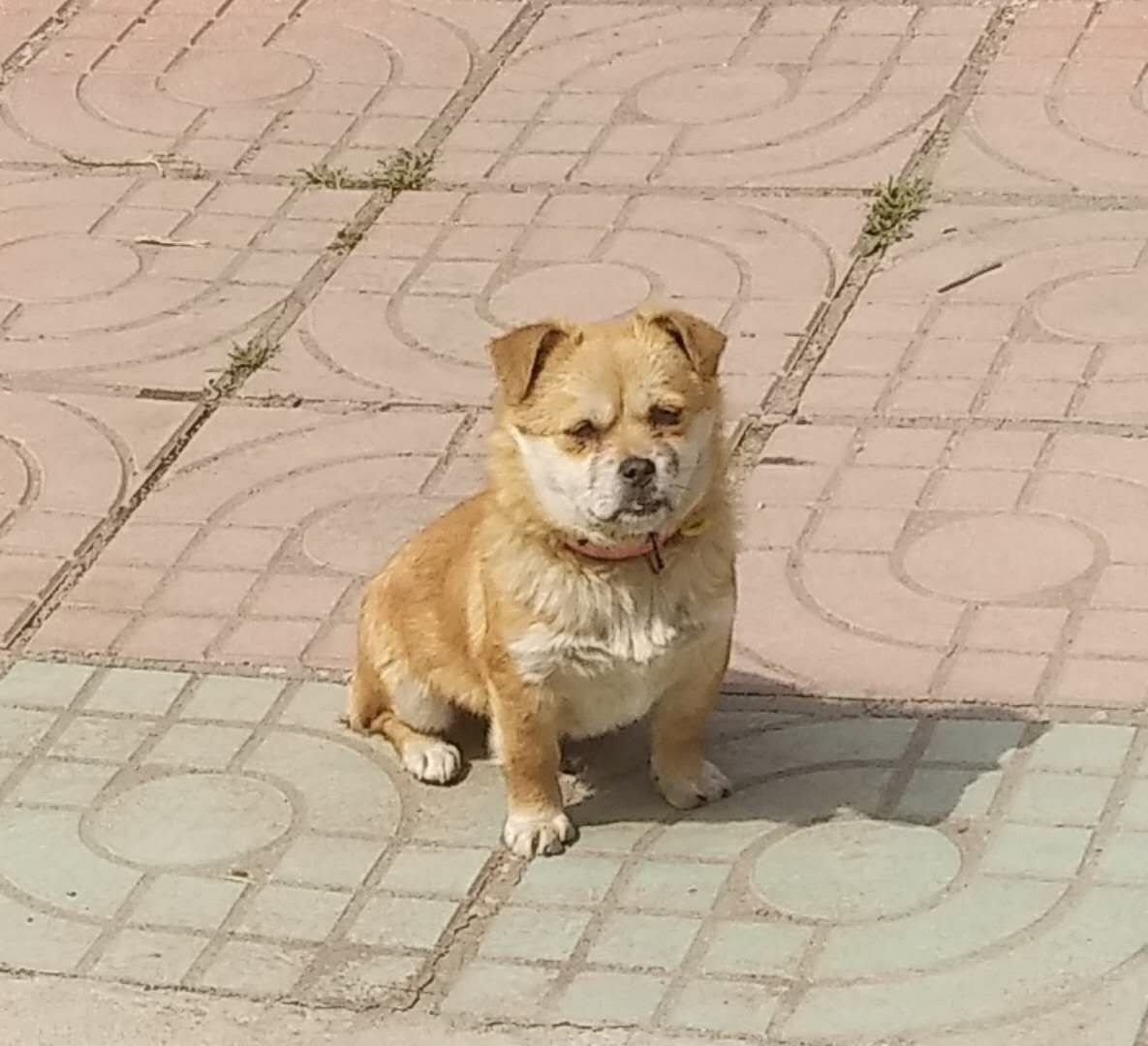微信图片_201803231350531.jpg