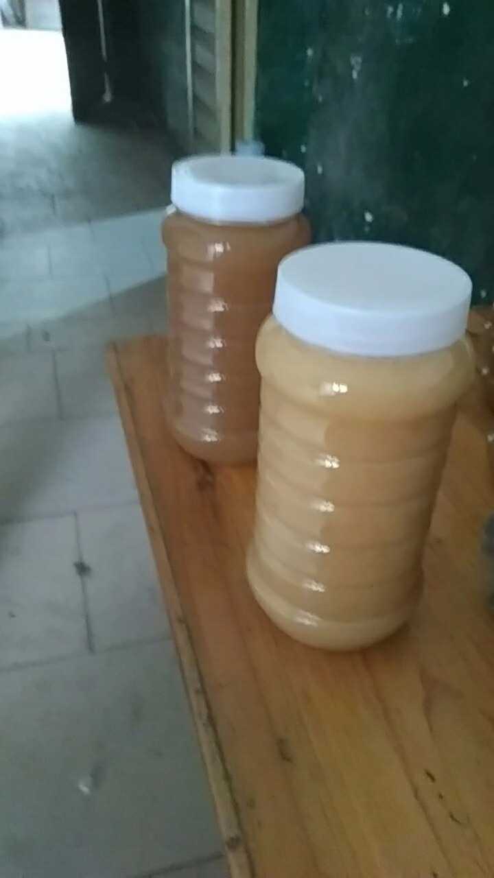 自养蜜蜂产品