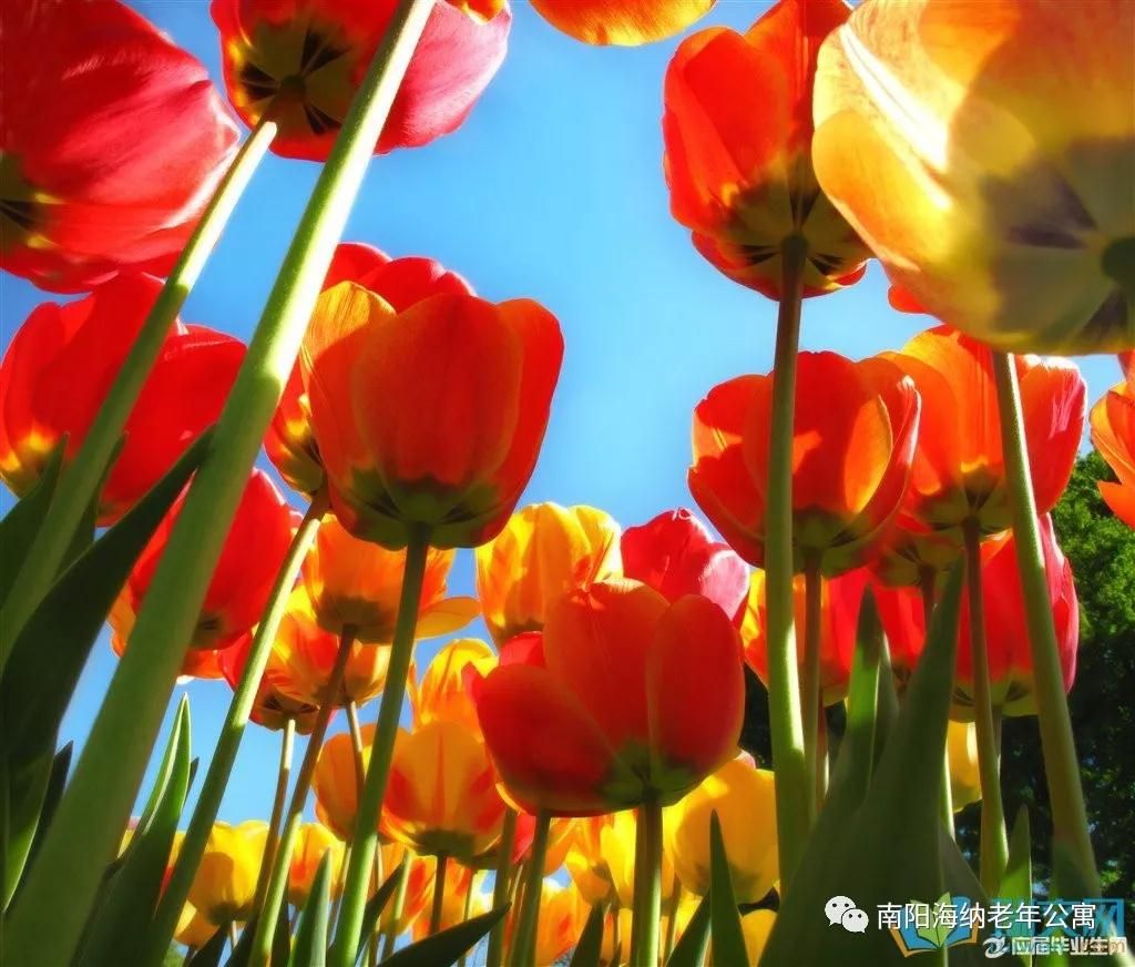 微信图片_20180329091430.jpg