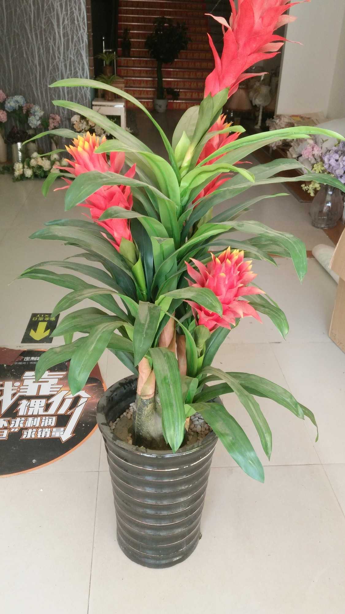 IMG_20180407_165744.jpg