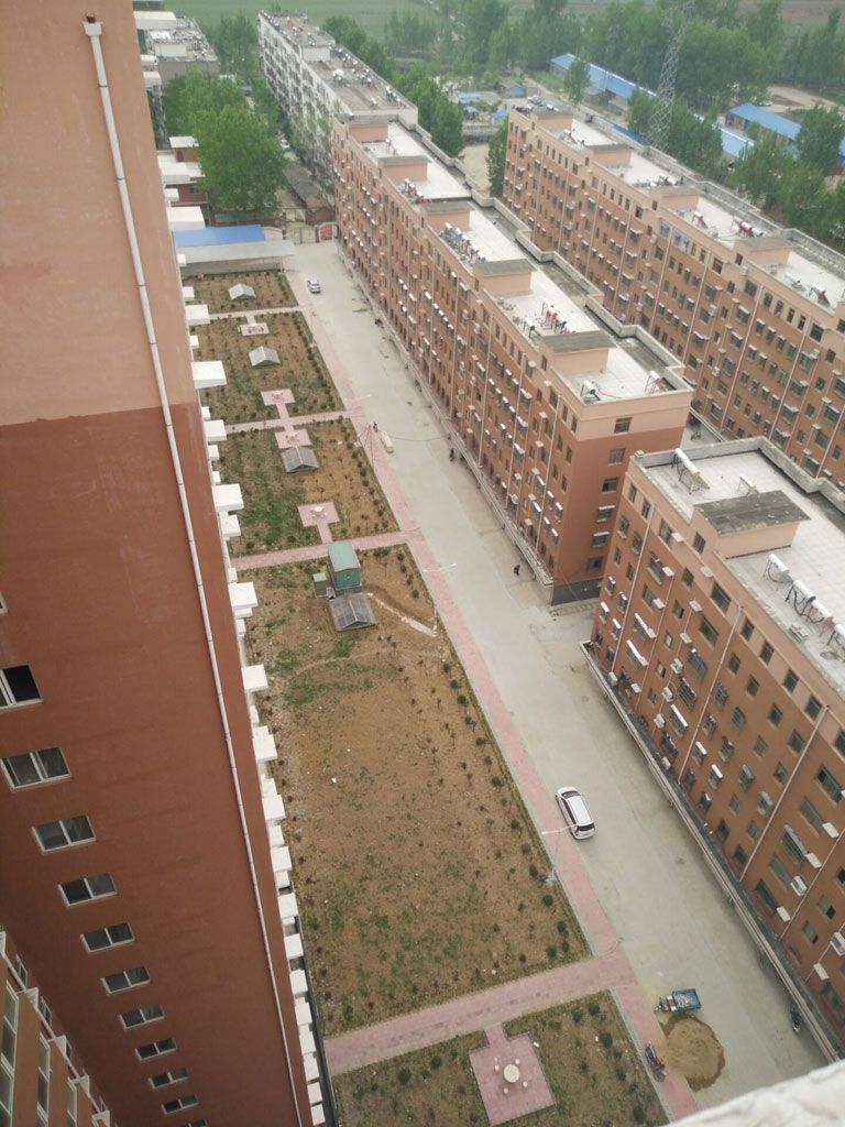 sj7.jpg